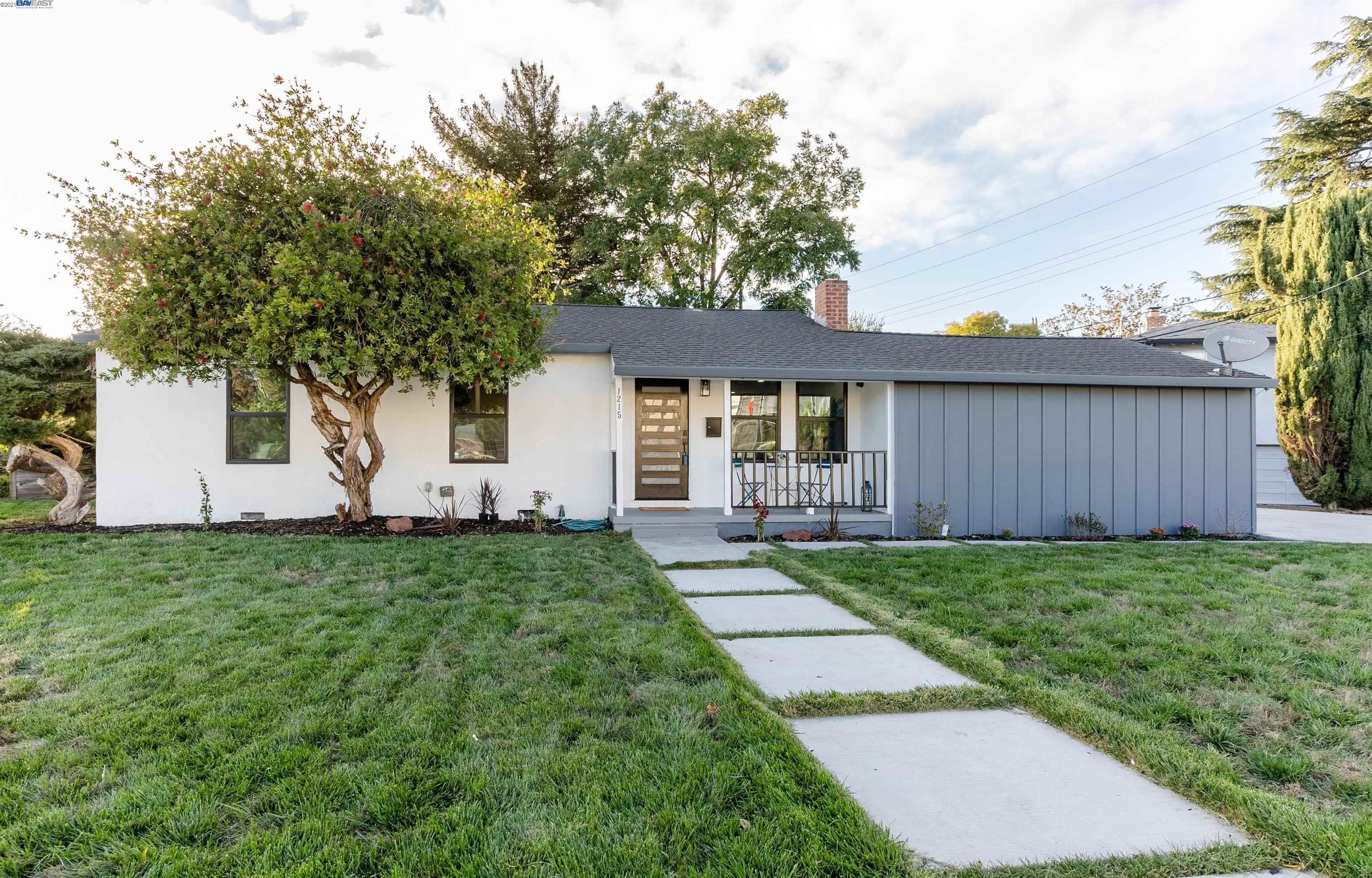 a view of a backyard with plants and large trees