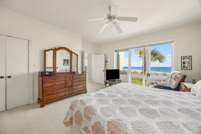 a view of a park with a large tree