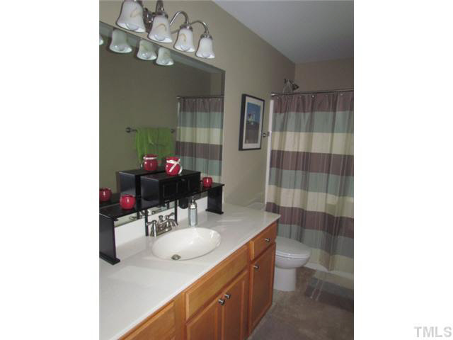 57 Squirrel Path Way Roxboro, NC 27574 - Photo 8 of 10 a bathroom with a sink vanity mirror and toilet