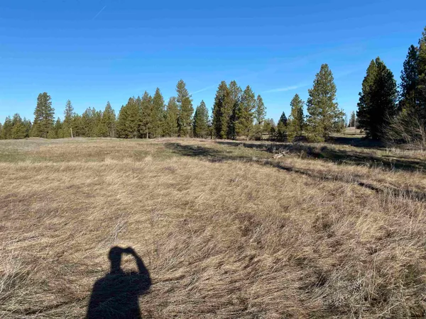 $99,000 | 0 Lorna Lane, Unit LOT P, Cheney, WA 99004