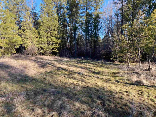 $99,000 | 0 Lorna Lane, Unit LOT P, Cheney, WA 99004