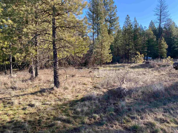 $99,000 | 0 Lorna Lane, Unit LOT P, Cheney, WA 99004