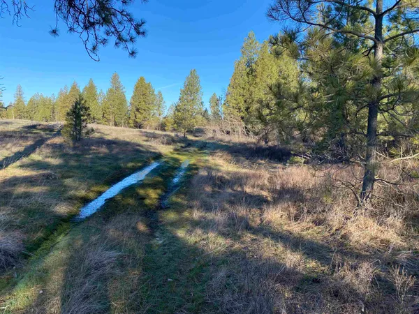 $99,000 | 0 Lorna Lane, Unit LOT P, Cheney, WA 99004