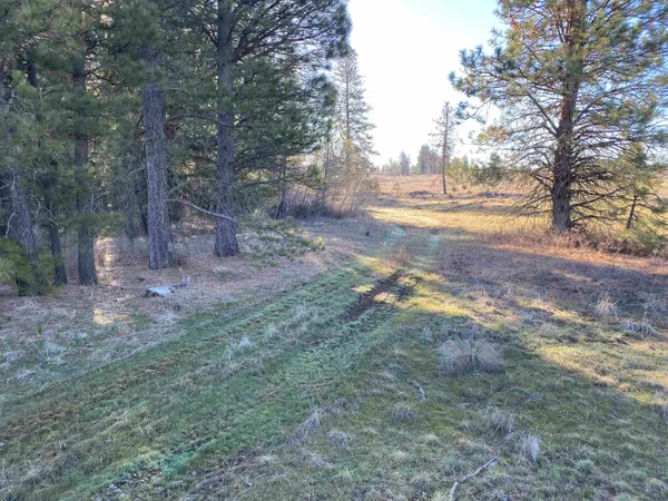 $99,000 | 0 Lorna Lane, Unit LOT P, Cheney, WA 99004