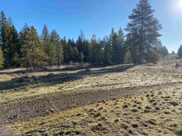 $99,000 | 0 Lorna Lane, Unit LOT P, Cheney, WA 99004
