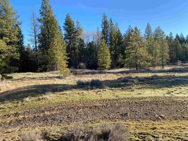 $99,000 | 0 Lorna Lane, Unit LOT P, Cheney, WA 99004