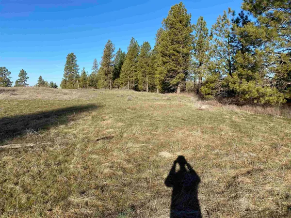 $99,000 | 0 Lorna Lane, Unit LOT P, Cheney, WA 99004
