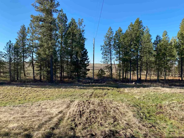 $99,000 | 0 Lorna Lane, Unit LOT P, Cheney, WA 99004