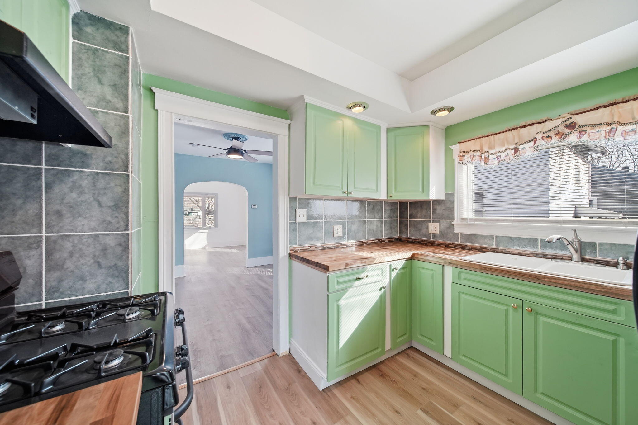 209 West High Street Jackson, MI 49203 - Photo 11 of 27 kitchen a