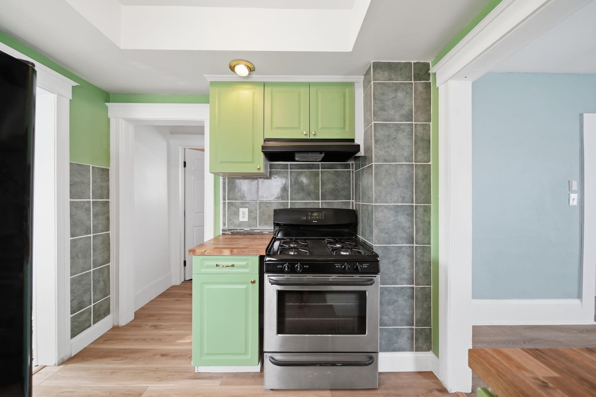 209 West High Street Jackson, MI 49203 - Photo 13 of 27 stove