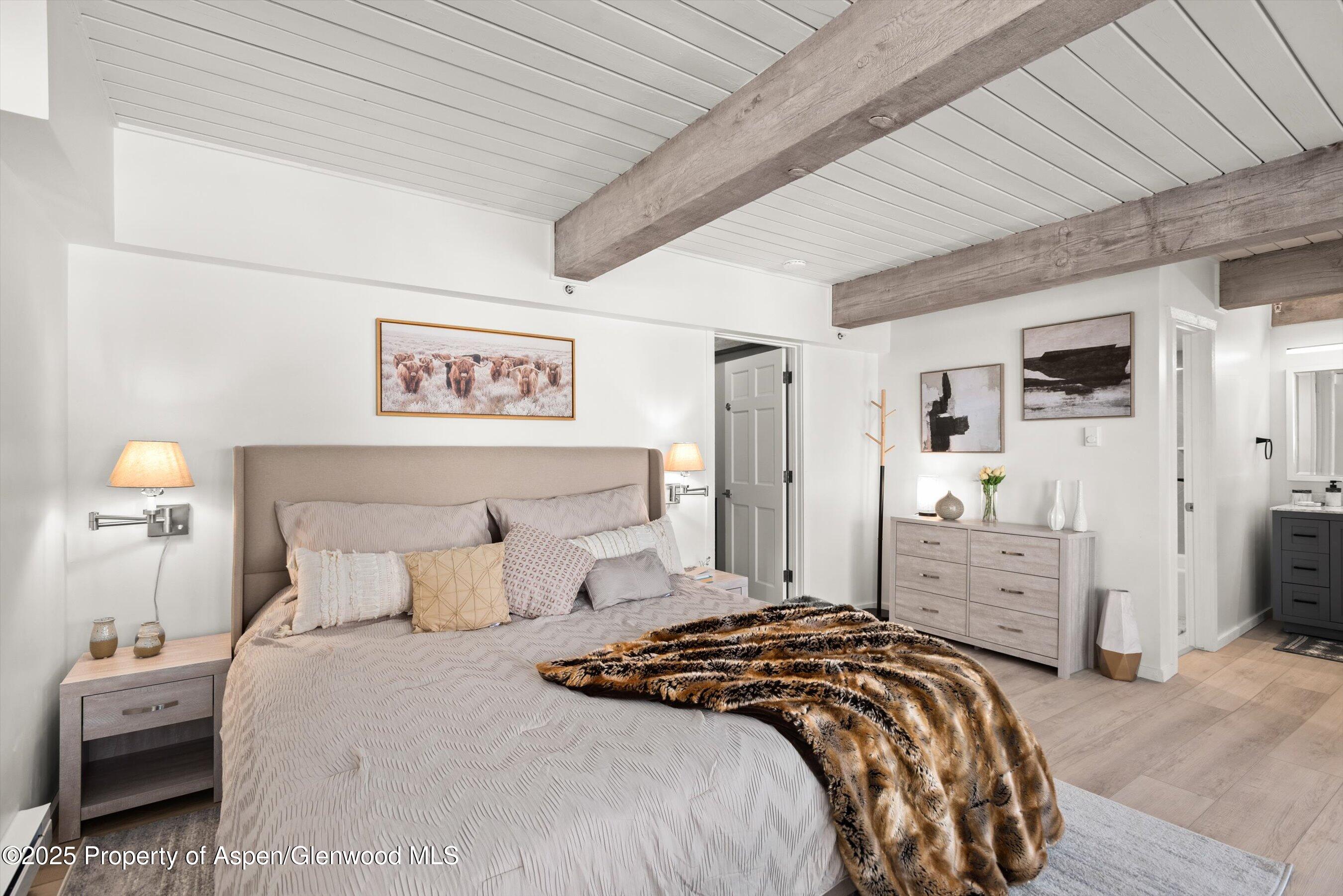 360 Wood Road, Unit 113 Snowmass Village, CO 81615 - Photo 15 of 28 19-360WoodRd113_241204019