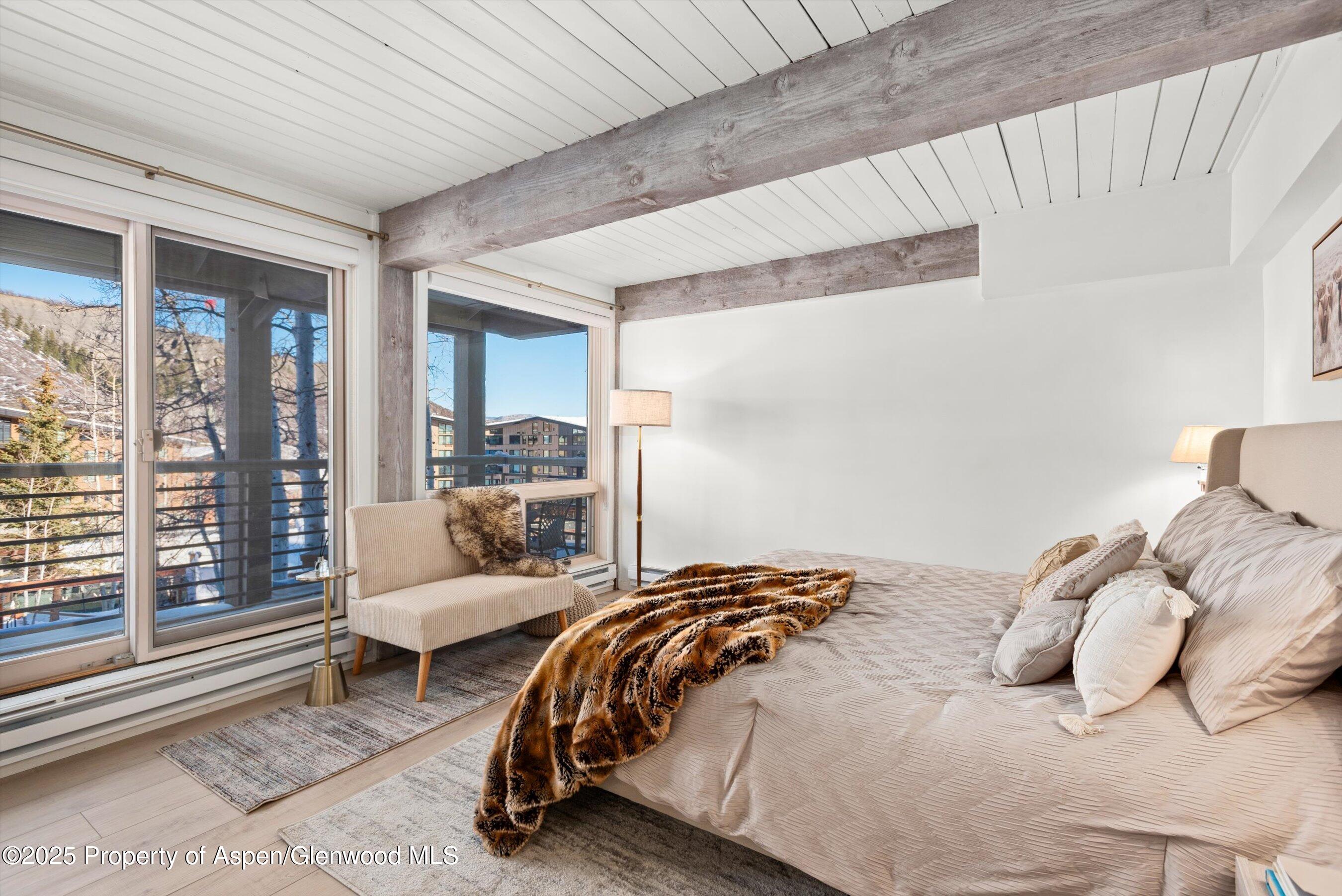 360 Wood Road, Unit 113 Snowmass Village, CO 81615 - Photo 16 of 28 18-360WoodRd113_241204018