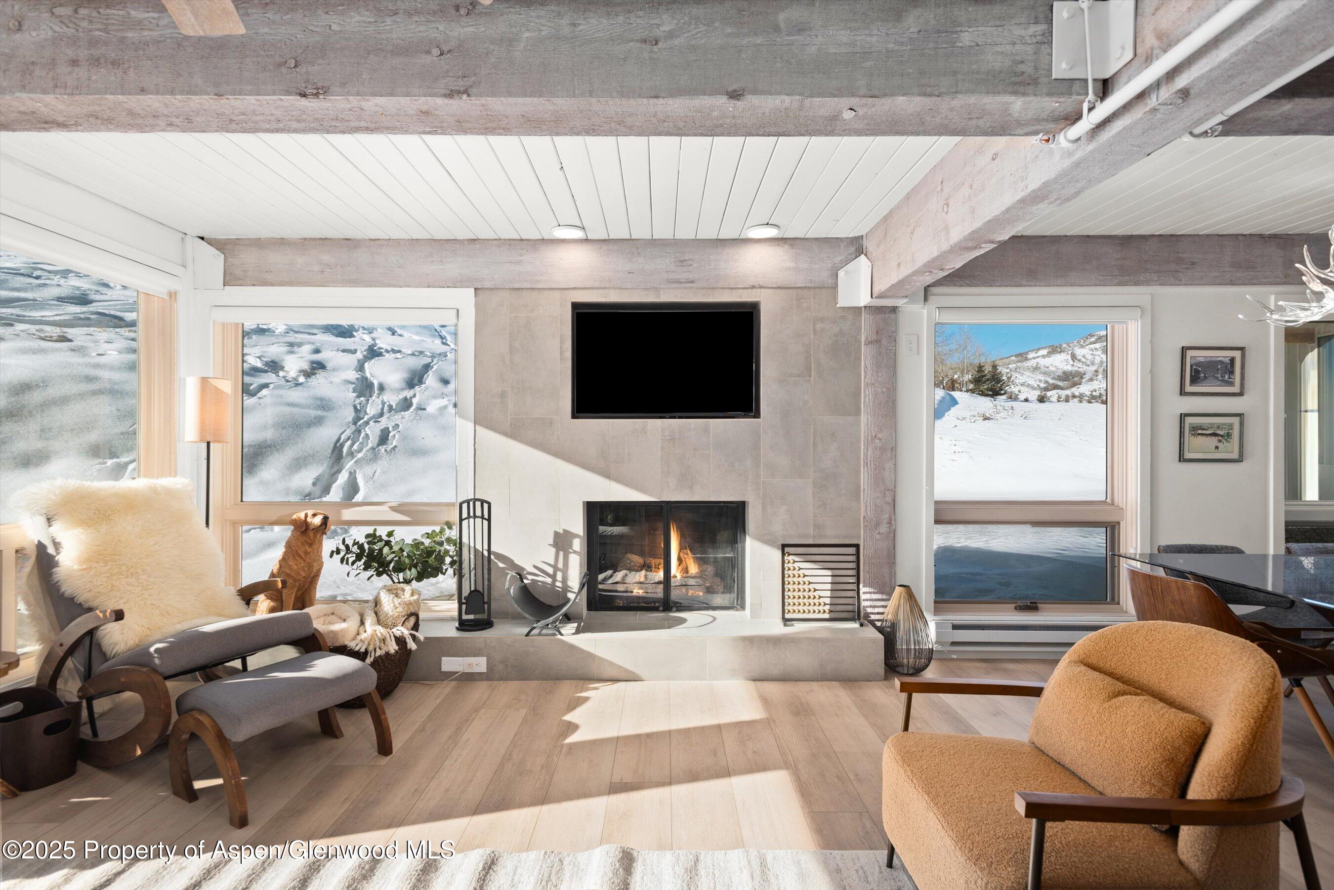 360 Wood Road, Unit 113 Snowmass Village, CO 81615 - Photo 5 of 28 08-360WoodRd113_241204008