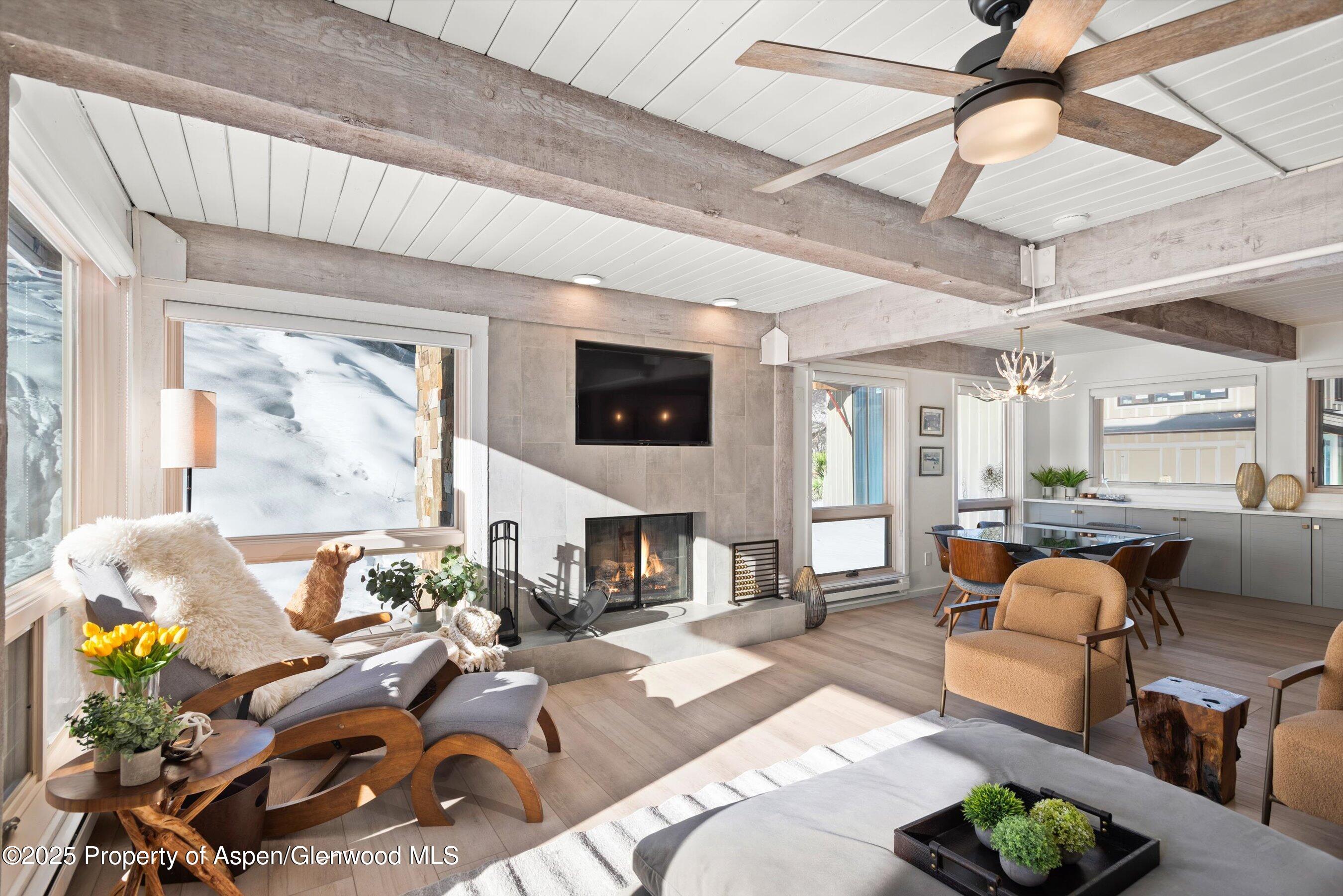 360 Wood Road, Unit 113 Snowmass Village, CO 81615 - Photo 6 of 28 06-360WoodRd113_241204006