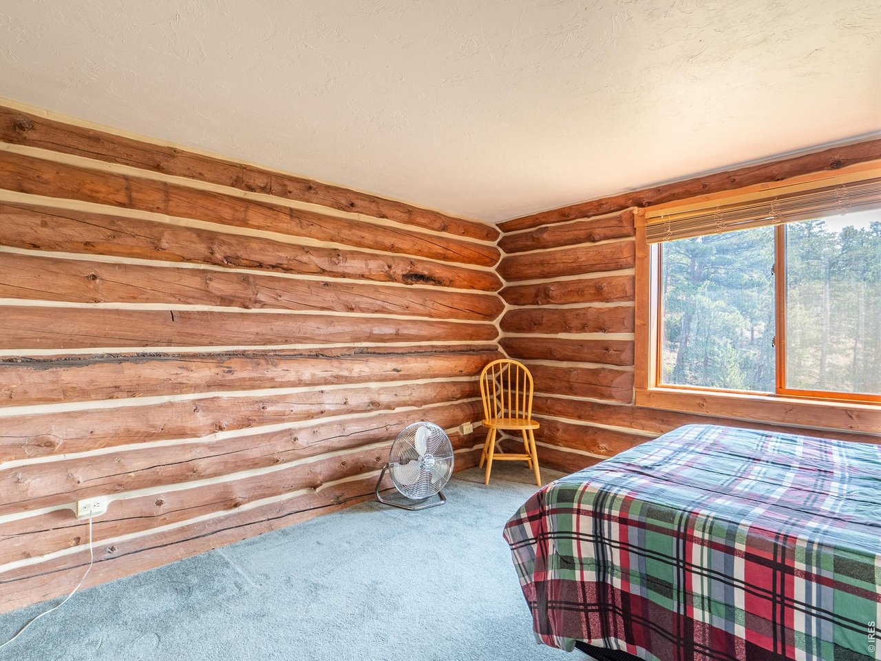 296 Caddo Road Red Feather Lakes, CO 80545 - Photo 18 of 50