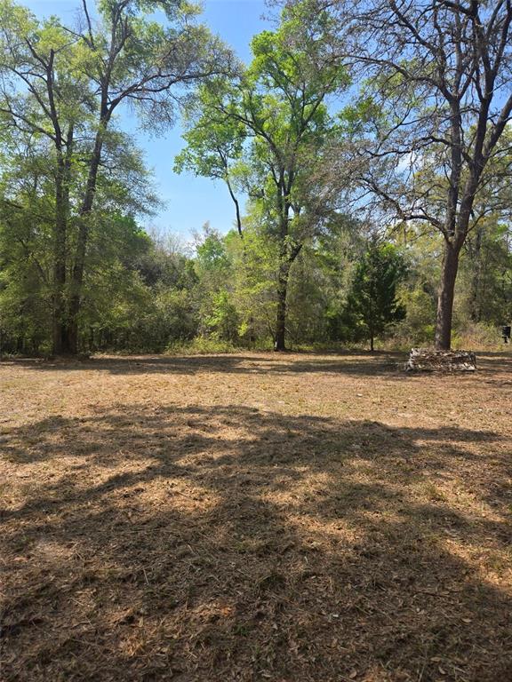 268 Luke Road Fort White, FL 32038 - Photo 4 of 7 a view of a yard with a tree