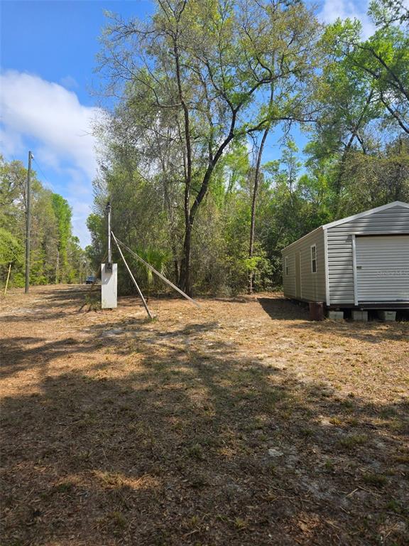 268 Luke Road Fort White, FL 32038 - Photo 6 of 7 a view of a house with backyard and a tree