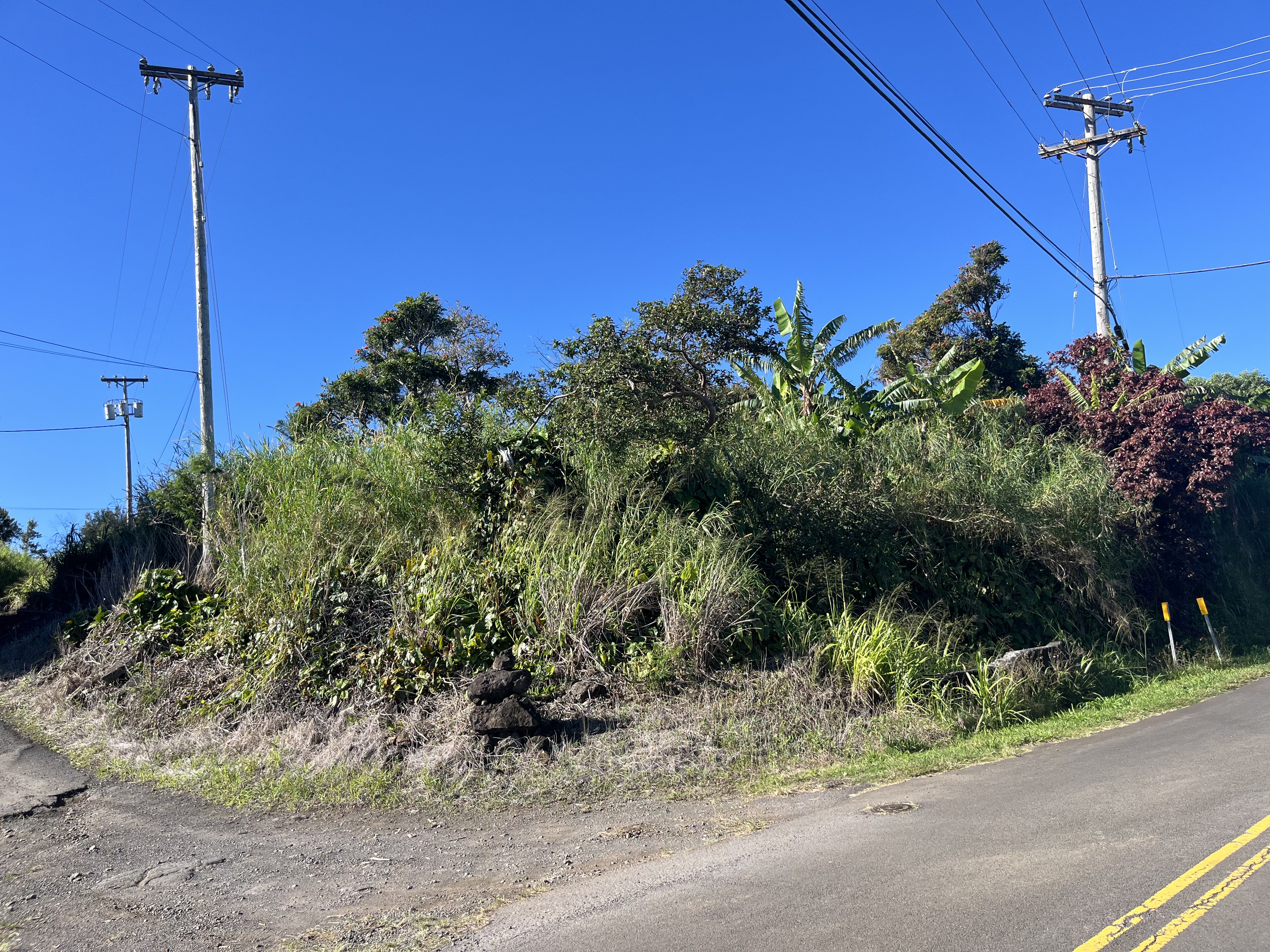 44-2561 Kalopa Road Honokaa, HI 96727 - Photo 1 of 5 Gallery Image 1