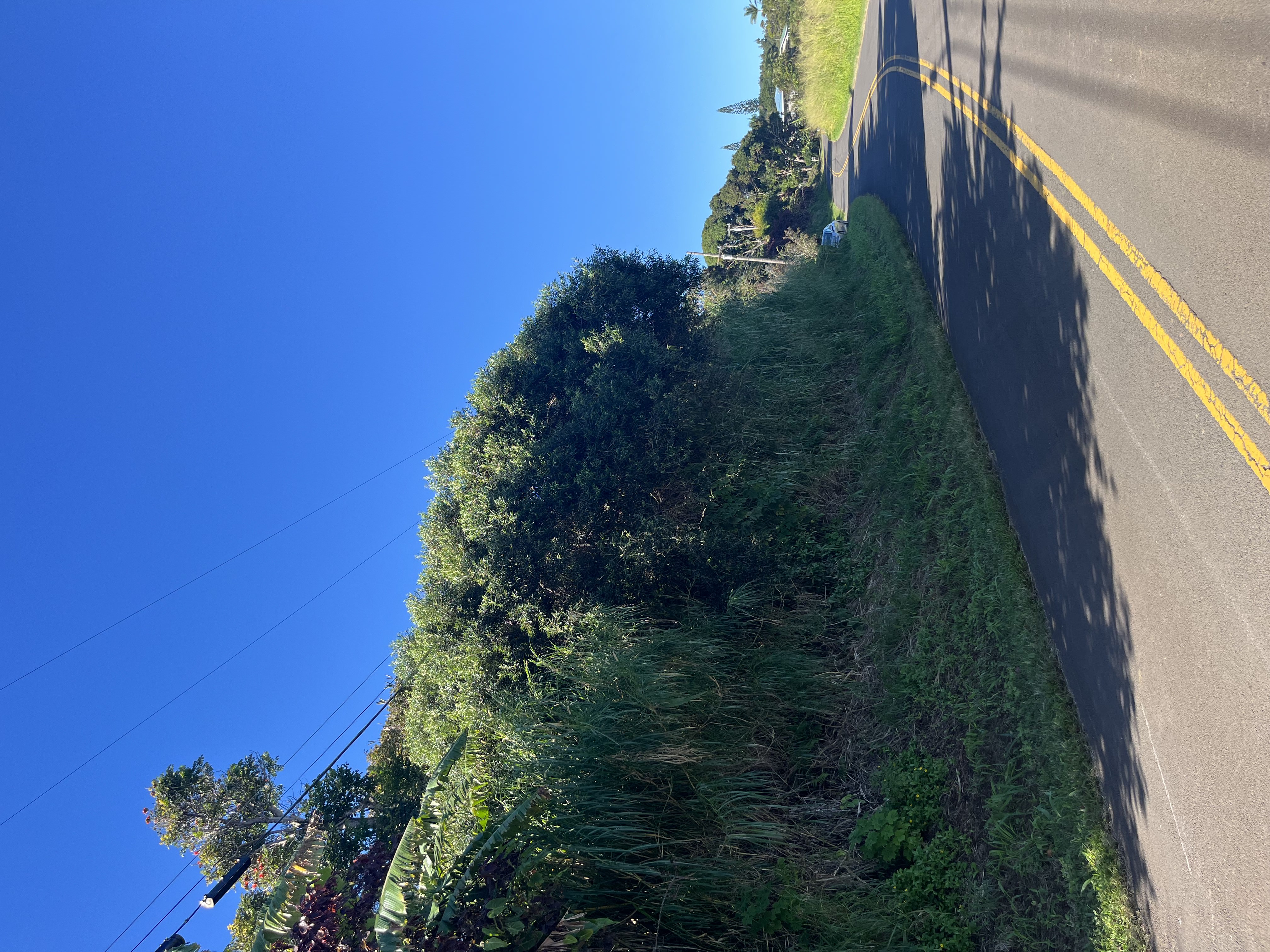 44-2561 Kalopa Road Honokaa, HI 96727 - Photo 2 of 5 Gallery Image 2