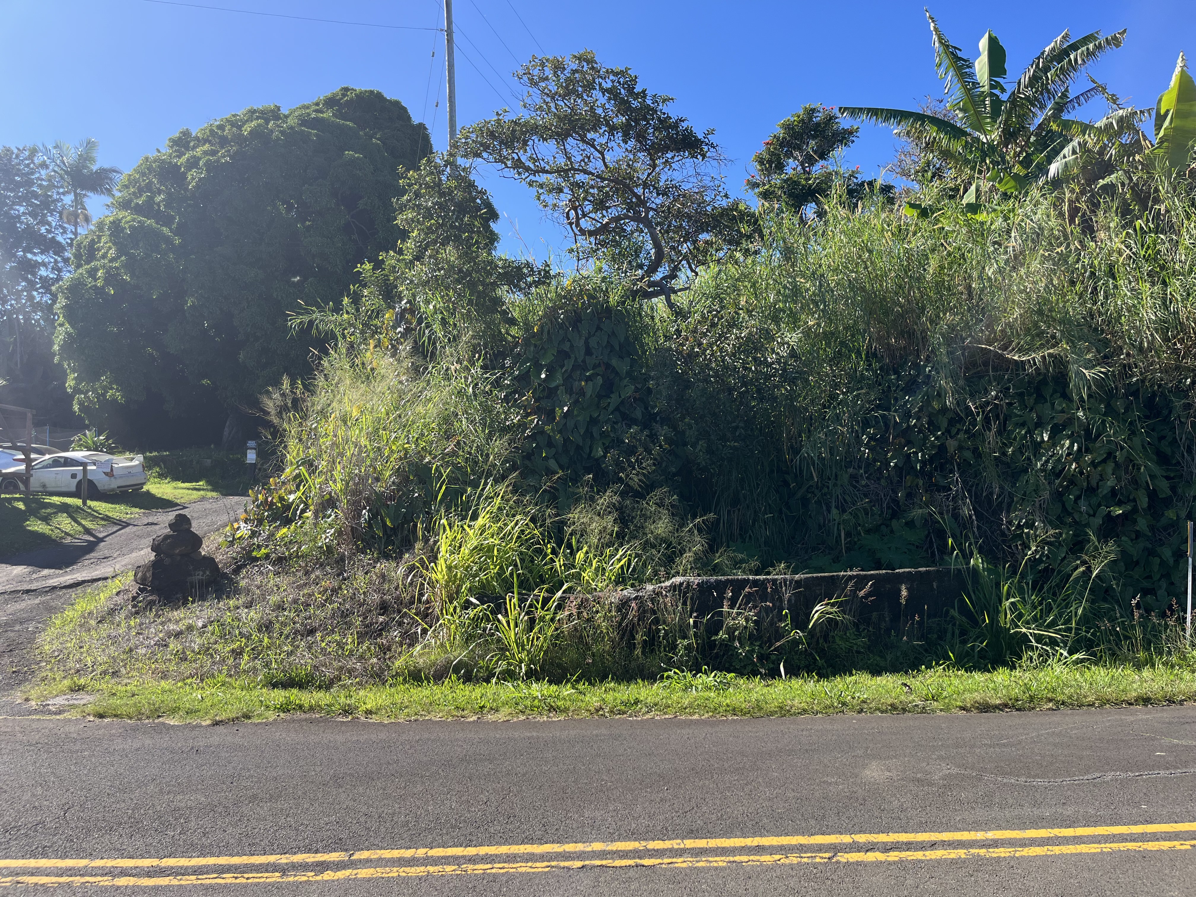 44-2561 Kalopa Road Honokaa, HI 96727 - Photo 3 of 5 Gallery Image 3