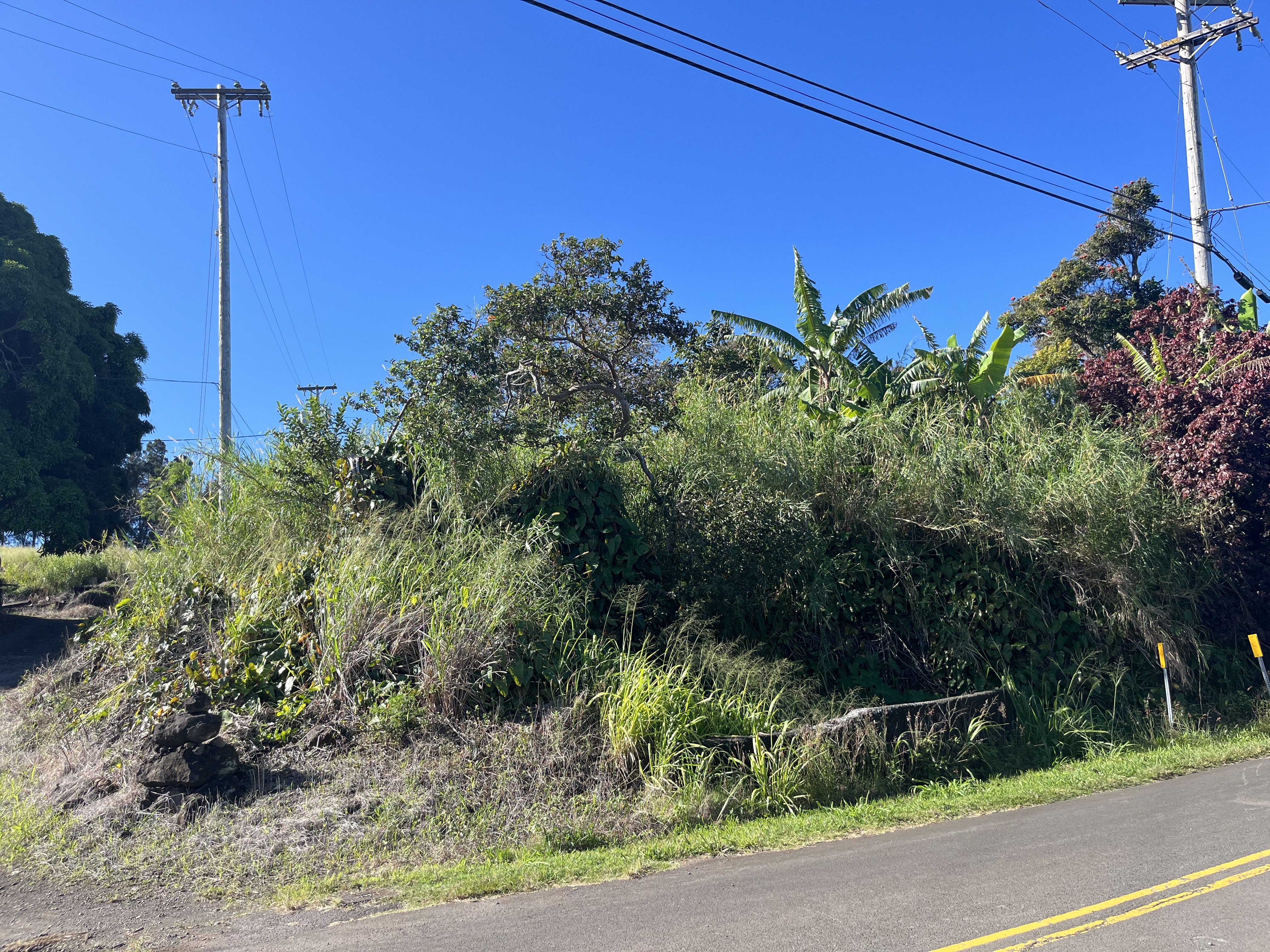 44-2561 Kalopa Road Honokaa, HI 96727 - Photo 5 of 5 Gallery Image 5