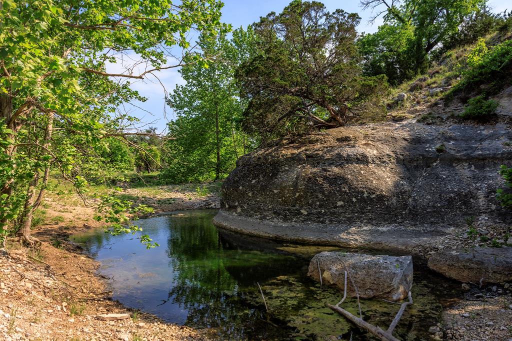 1820 Pressler-Henke Road Kerrville, TX 78028 - Photo 1 of 12 Main View