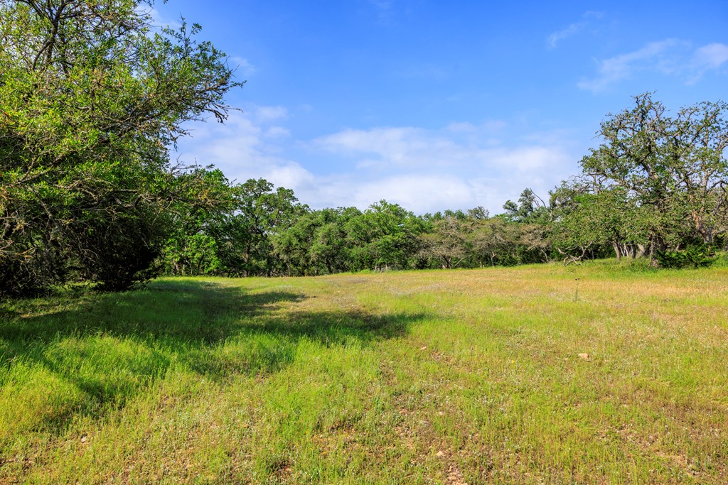 1820 Pressler-Henke Road Kerrville, TX 78028 - Photo 11 of 12