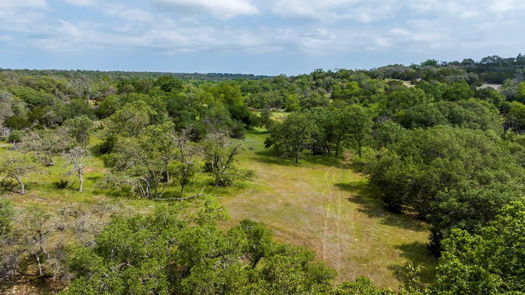 1820 Pressler-Henke Road Kerrville, TX 78028 - Photo 2 of 12