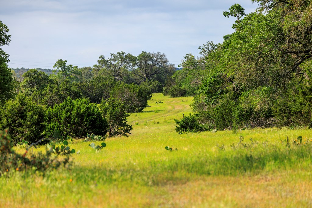 1820 Pressler-Henke Road Kerrville, TX 78028 - Photo 6 of 12