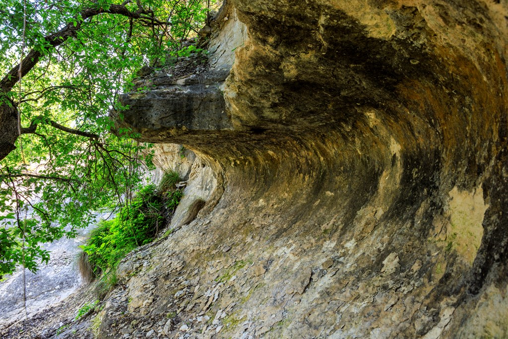 1820 Pressler-Henke Road Kerrville, TX 78028 - Photo 8 of 12