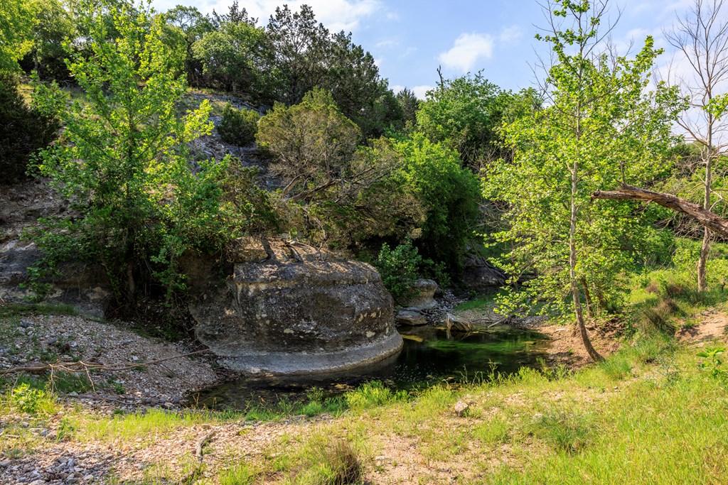 1820 Pressler-Henke Road Kerrville, TX 78028 - Photo 9 of 12