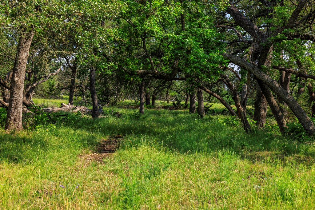 1820 Pressler-Henke Road Kerrville, TX 78028 - Photo 10 of 12