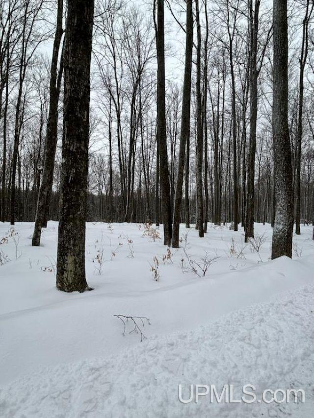 Tbd County Line Road Foster City, MI 49834 - Photo 16 of 56