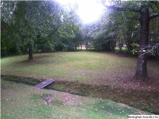 6001 Tommy Town Road Mount Olive, AL 35117 - Photo 7 of 16