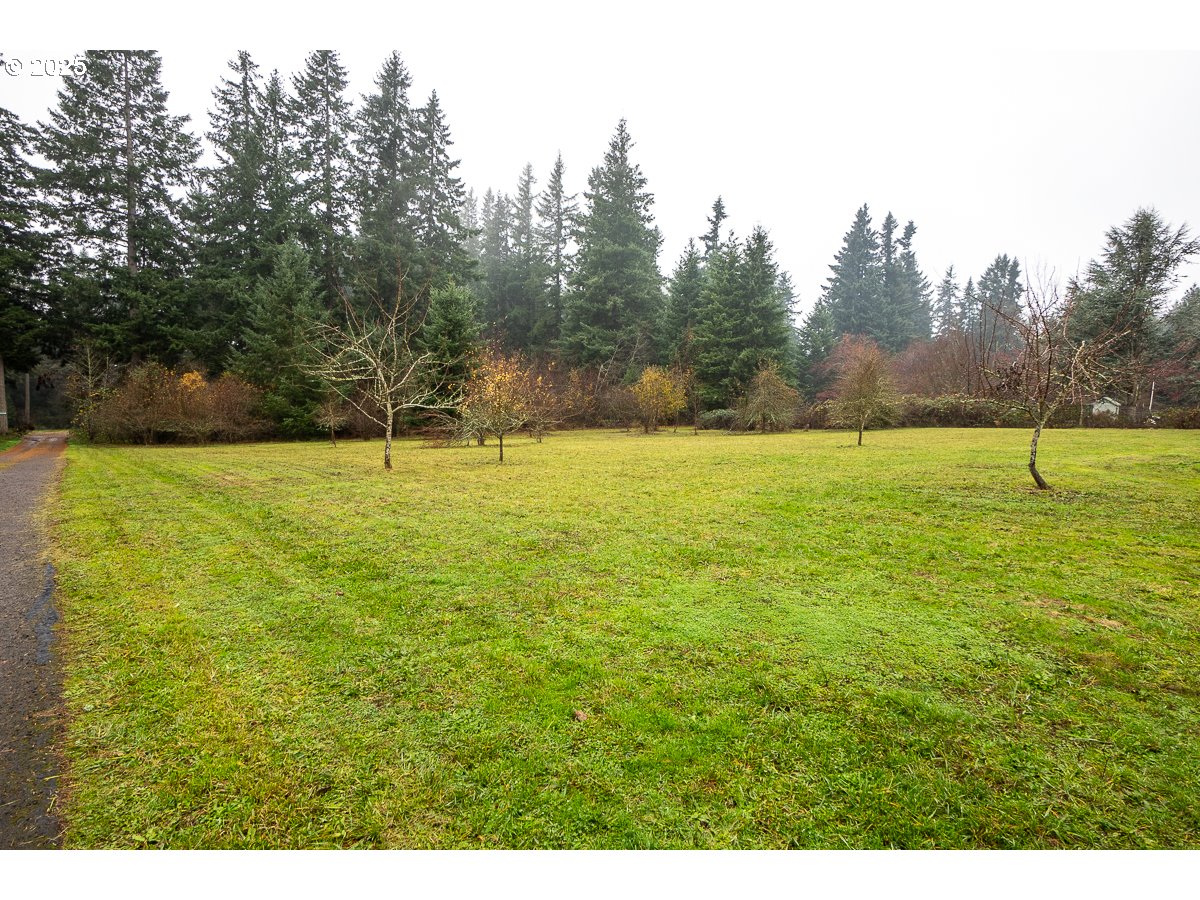 18451 South Grasle Road Oregon City, OR 97045 - Photo 25 of 26 Acreage