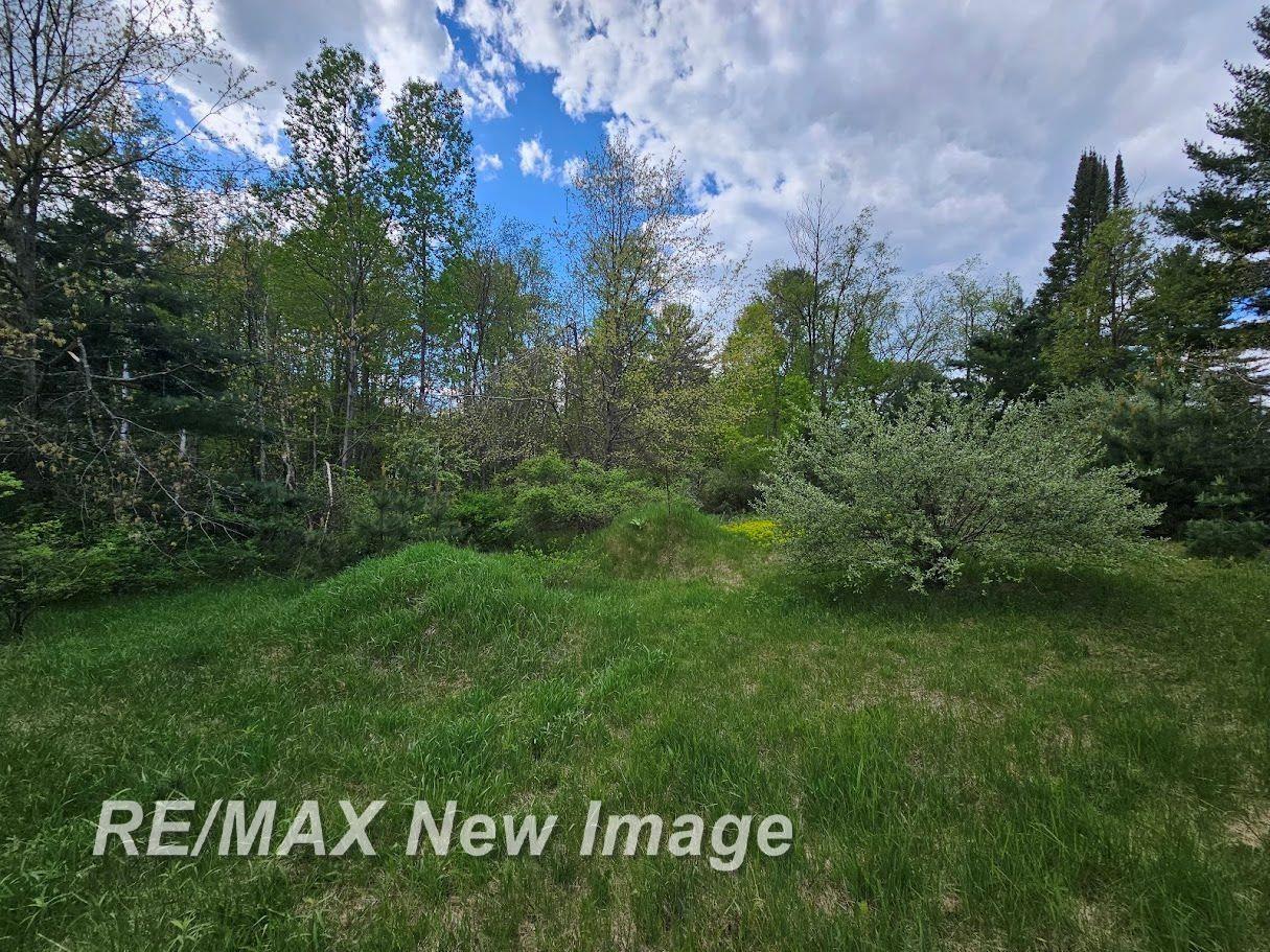 1512 Hay Road Beaverton, MI 48612 - Photo 25 of 25
