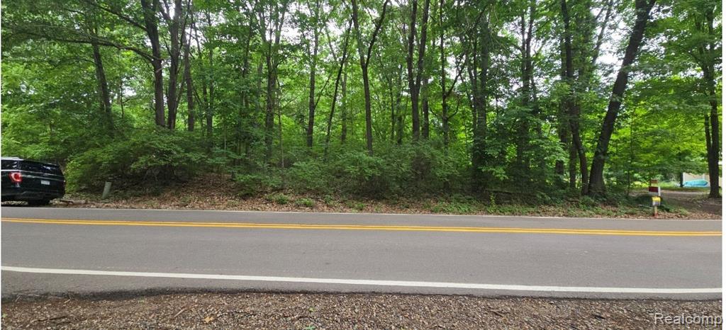 0 Mcgregor Road Pinckney, MI 48169 - Photo 3 of 3