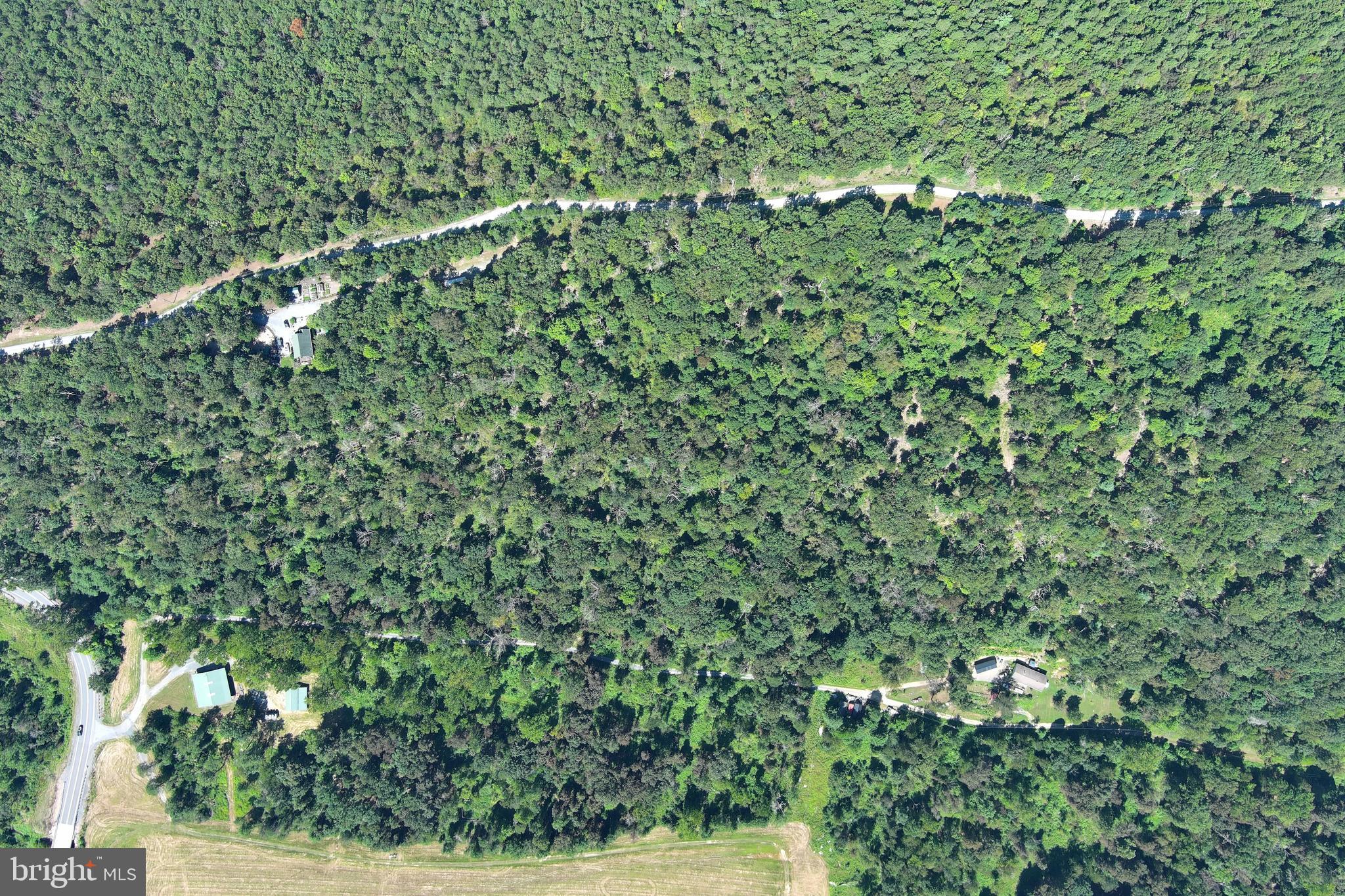 40.955 Ac Intersection Rt 50 & Smokey Hollow Road Bloomery, WV 26817 - Photo 72 of 83 a view of a lush green forest