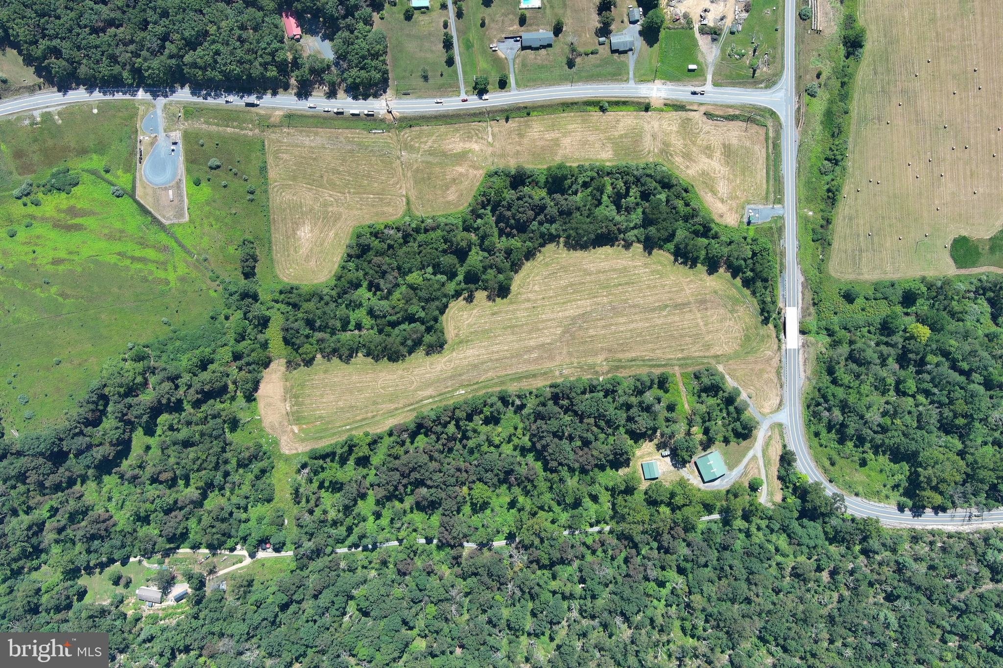 40.955 Ac Intersection Rt 50 & Smokey Hollow Road Bloomery, WV 26817 - Photo 79 of 83