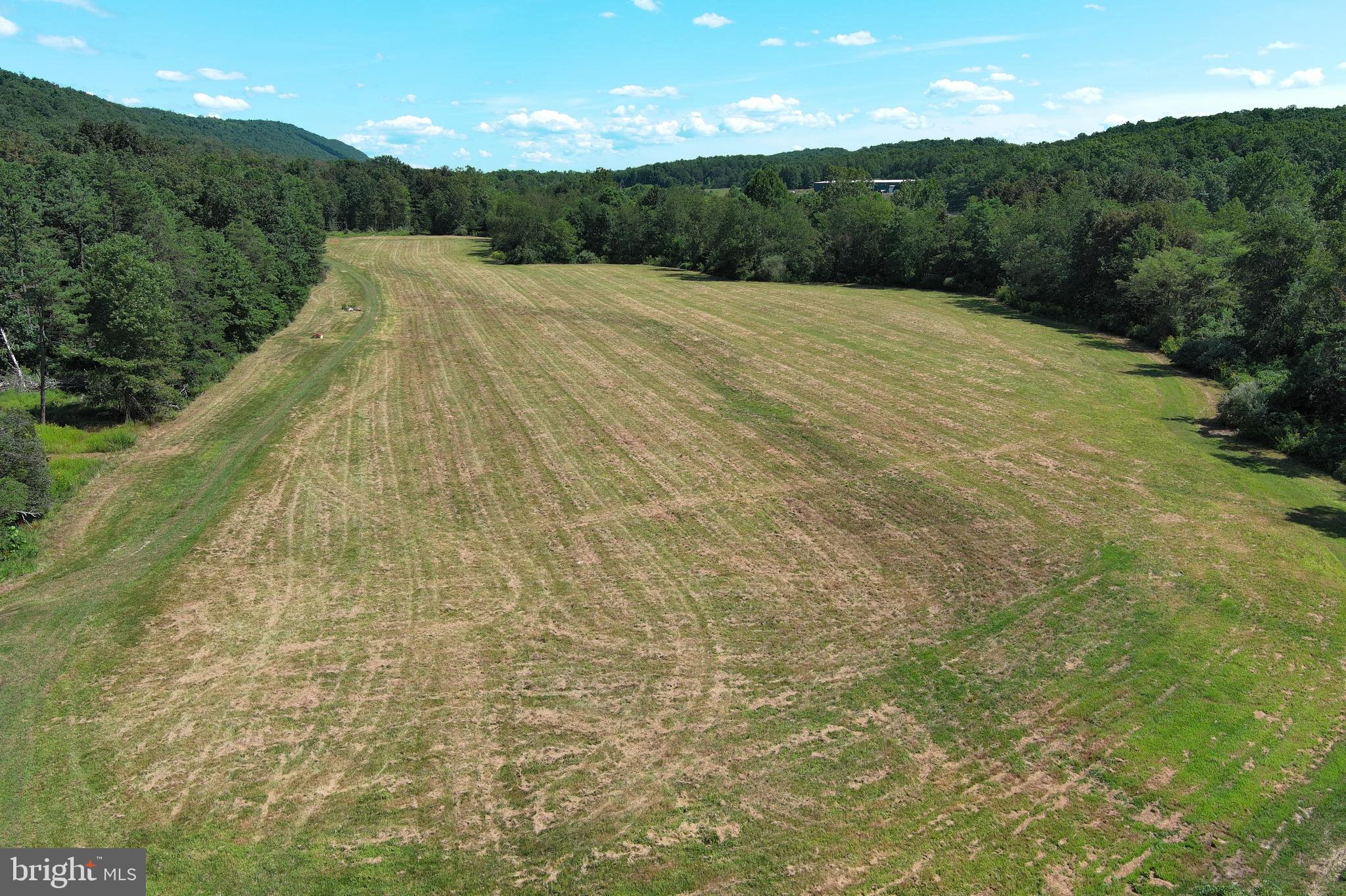 40.955 Ac Intersection Rt 50 & Smokey Hollow Road Bloomery, WV 26817 - Photo 80 of 83