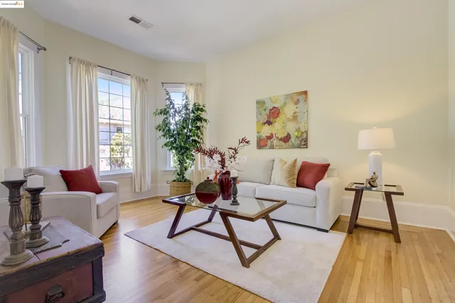 a living room with furniture and a potted plant