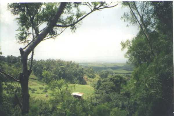 Uha Road, Unit 5 Kalaheo, HI 96741 - Photo 2 of 3