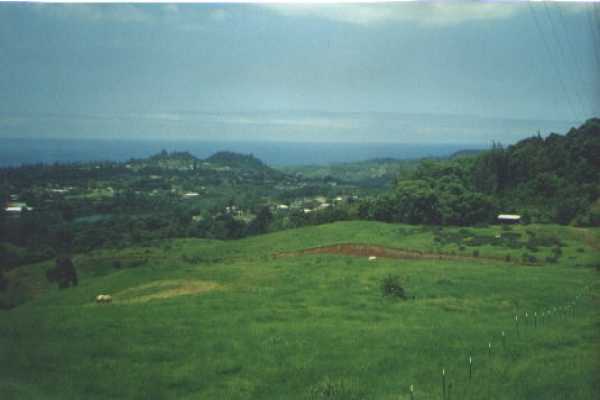Uha Road, Unit 5 Kalaheo, HI 96741 - Photo 3 of 3