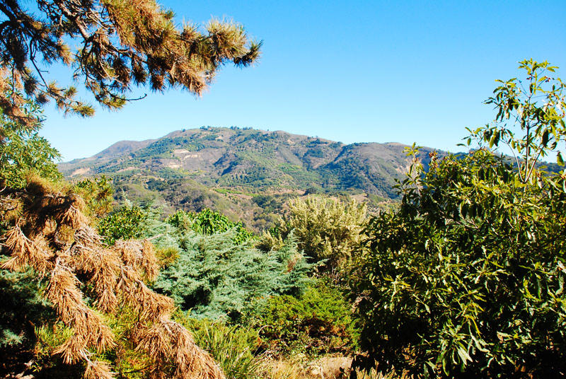 7461 Shepard Mesa Road Carpinteria, CA 93013 - Photo 3 of 5 Mountain View