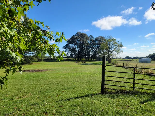 a view of a park with large trees