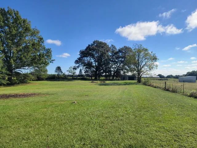 a view of a field of grass and trees