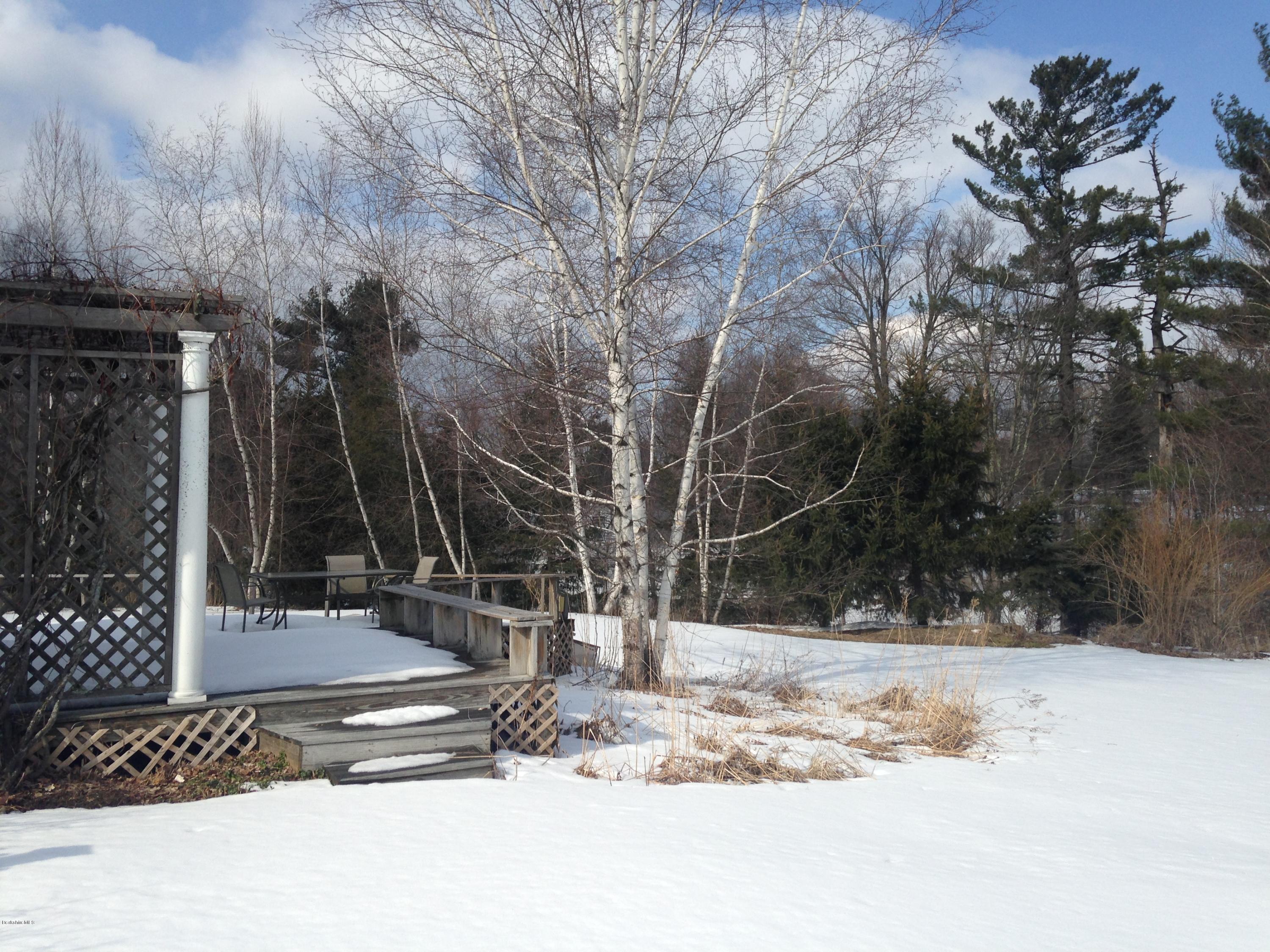 61 Hancock Road Williamstown, MA 01267 - Photo 45 of 46 Back yard in Winter