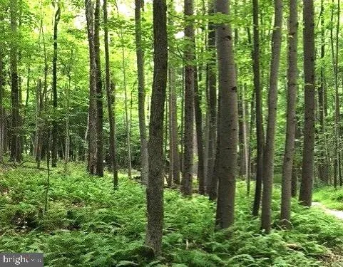 $495,000 | 16418 Cedar Grove Road, Sparks Glencoe, MD 21152