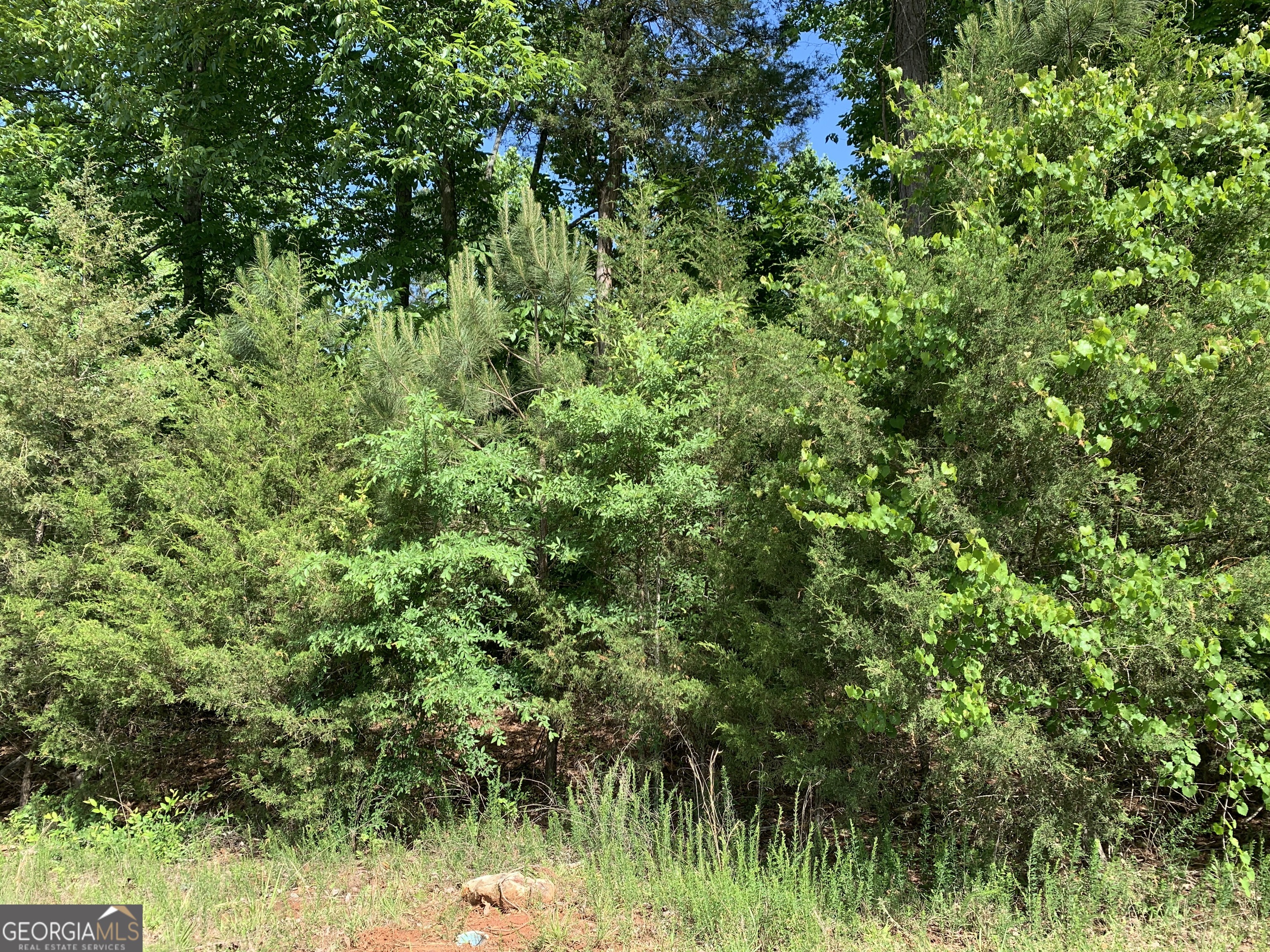 1208 Hornets Bridge Road Elberton, GA 30635 - Photo 4 of 10