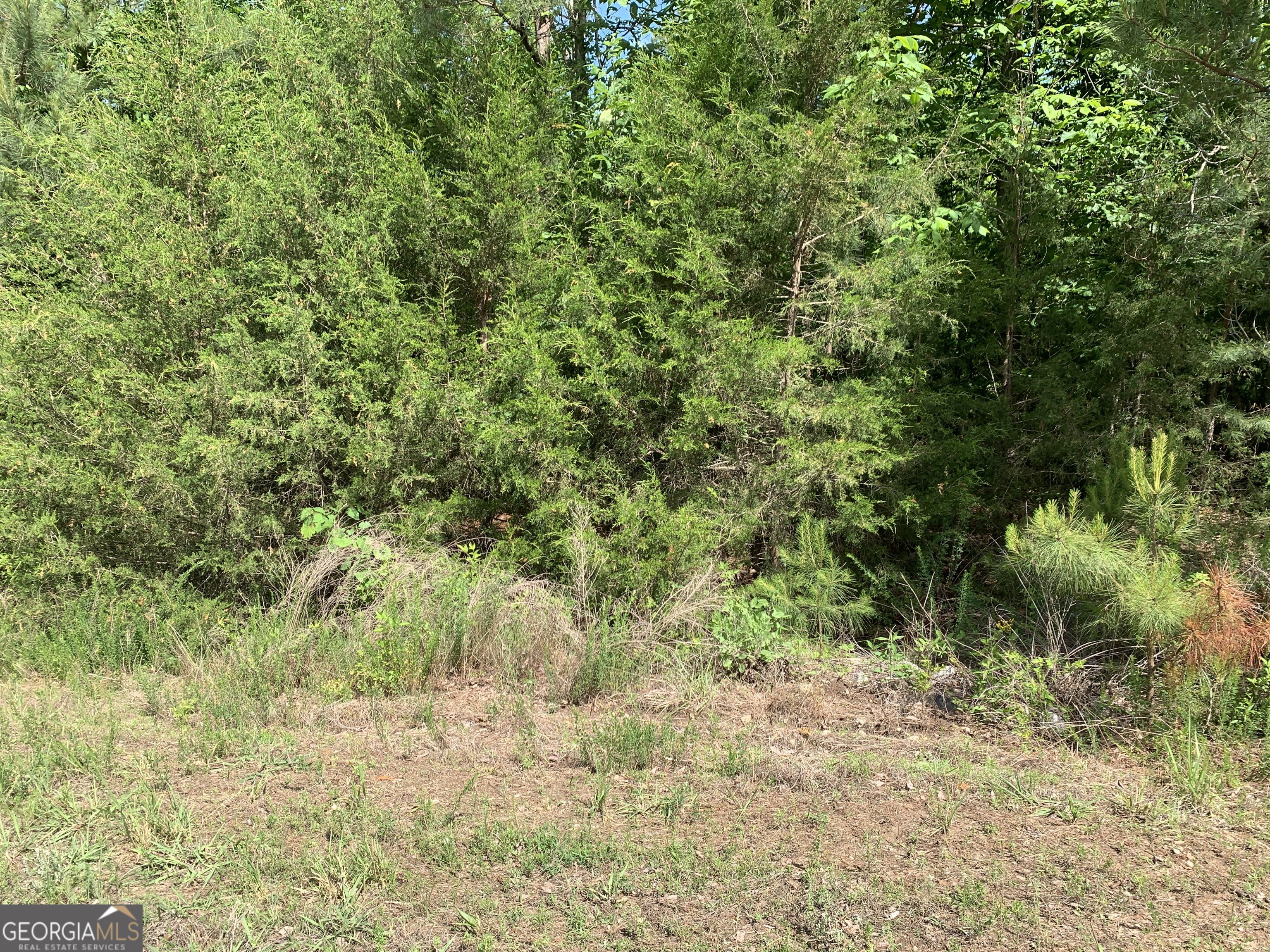 1208 Hornets Bridge Road Elberton, GA 30635 - Photo 5 of 10